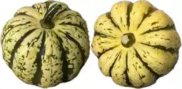 Intratuin Pompoen (Cucurbita 'Heart of Gold') D 5 cm aanbieding