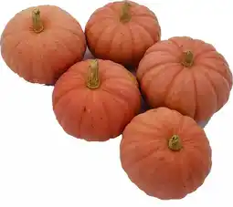 Intratuin Pompoen (Cucurbita 'Miss sophie pink') D 15 cm aanbieding