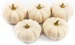 Intratuin Pompoen (Cucurbita 'Baby Boo') D 6 cm aanbieding