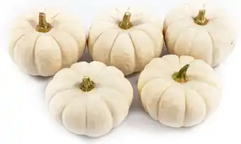 Intratuin Pompoen (Cucurbita 'Baby Boo') D 6 cm aanbieding