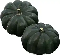 Intratuin Pompoen (Cucurbita 'Black kat') D 20 cm aanbieding