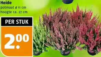 Poiesz Heide aanbieding