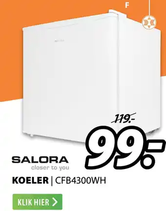 Expert Salora closer to you koeler | cfb4300wh aanbieding