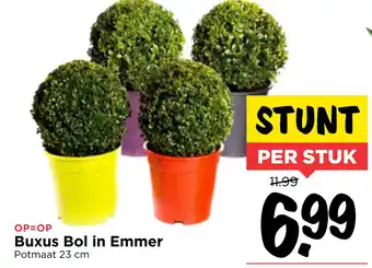 Vomar Voordeelmarkt Buxus bol in emmer aanbieding