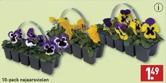 ALDI Najaarsviolen aanbieding