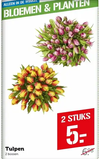 Coop Tulpen aanbieding