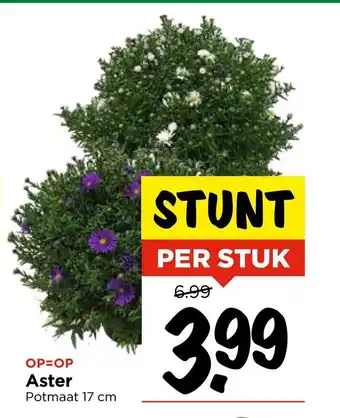Vomar Voordeelmarkt Aster aanbieding