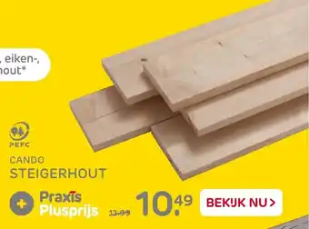 Praxis Cando Steigerhout aanbieding