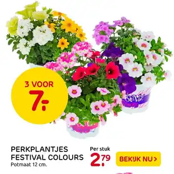 Praxis Perkplantjes Festival Colours aanbieding