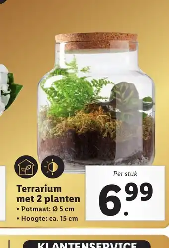 Lidl Terrarium per stuk aanbieding