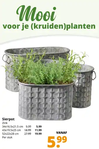 GroenRijk Sierpot Zink aanbieding