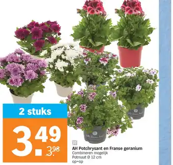 Albert Heijn AH Potchrysant en franse geranium aanbieding