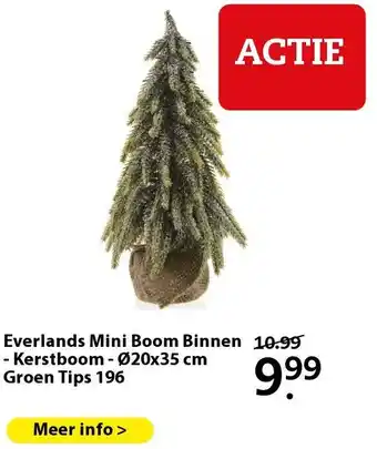 Boerenbond Everlands Mini Boom Binnen - Kerstboom - Ø20x35 cm Groen Tips 196 aanbieding