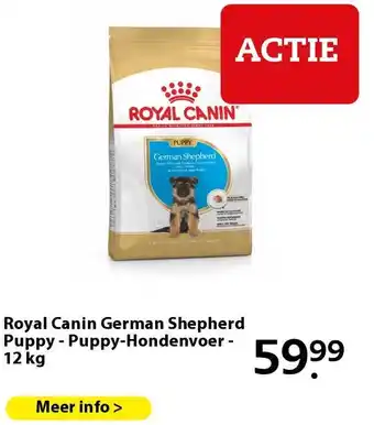 Boerenbond Royal Canin German Shepherd Puppy - Puppy-Hondenvoer - 12 kg aanbieding