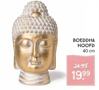 Xenos Boeddha hoofd aanbieding