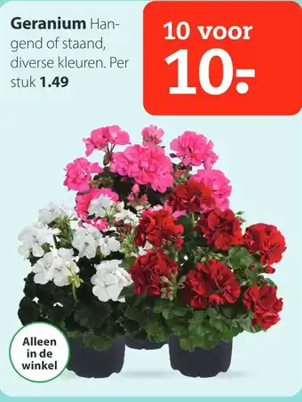 Pets Place Geranium aanbieding