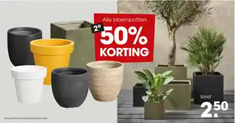 Kwantum Alle bloempotten aanbieding