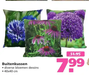 Ranzijn Buitenkussen aanbieding