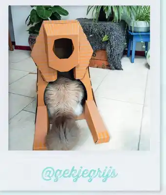 Pets Place Poopy cat Sphinx speelhuis 16.99 aanbieding