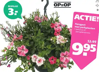 Ranzijn Hangpot met perkplanten petunia aanbieding