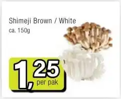 Amazing Oriëntal Shimeji Brown / White aanbieding