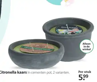 Pets Place Citronella kaars aanbieding