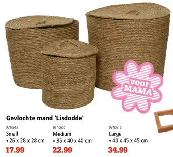 Marskramer Gevlochte mand 'lisdodde' aanbieding