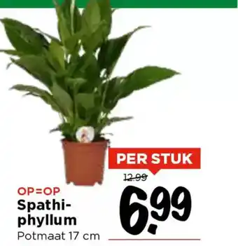 Vomar Voordeelmarkt Spathi phyllum aanbieding