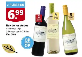 Hoogvliet Rey de los Andes 0,75 liter aanbieding