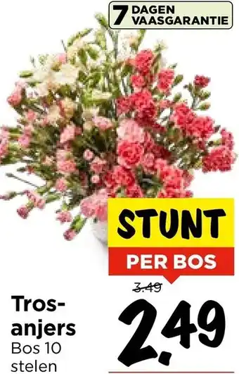 Vomar Voordeelmarkt Trosanjers aanbieding