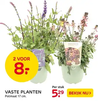 Praxis Vaste Planten aanbieding