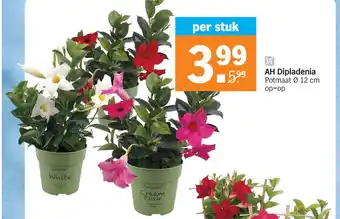 Albert Heijn AH dipladenia 12 cm aanbieding