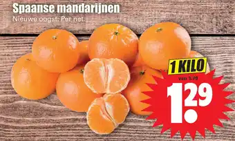 Dirk Spaanse mandarijnen aanbieding