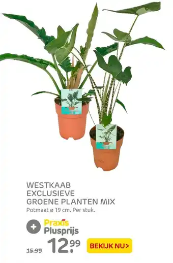 Praxis Westkaab Exclusieve Groene Planten Mix 19cm aanbieding