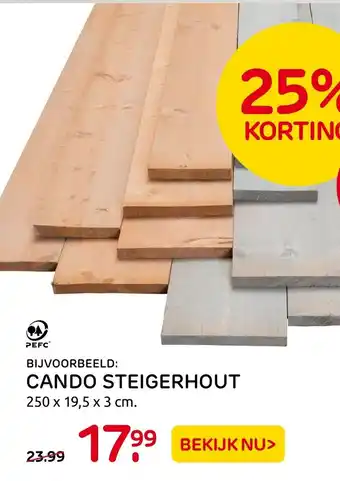 Praxis Cando Steigerhout aanbieding