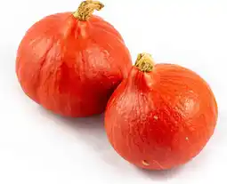 Intratuin Pompoen (Cucurbita 'Rode Hokkaido') D 14 cm aanbieding