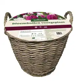 Welkoop Welkoop - Bloembollen voorgeplant - Paars-wit aanbieding