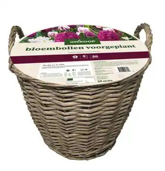 Welkoop Welkoop - Bloembollen voorgeplant - Paars-wit aanbieding