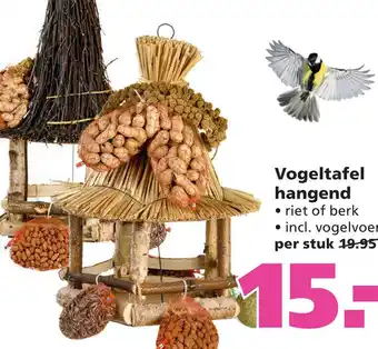 Ranzijn Vogeltafel hangend • riet of berk incl. vogelvoer aanbieding