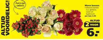 Ranzijn Mono bossen diverse soorten o.a. gerbera, rozen en hypericum aanbieding