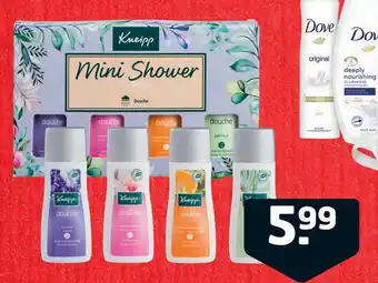 Trekpleister Kneipp mini shower aanbieding