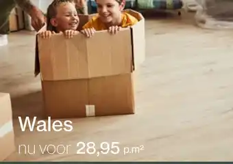 Roobol Wales aanbieding