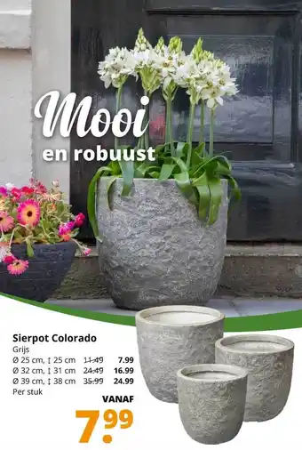 GroenRijk Sierpot Colorado aanbieding