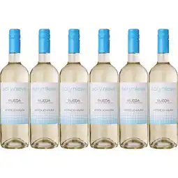 Albert Heijn Sol y Nieve Rueda verdejo-viura 6-pack aanbieding
