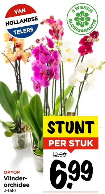 Vomar Voordeelmarkt Vlinderorchidee aanbieding