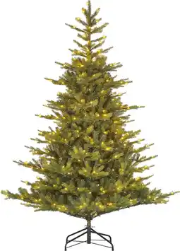 Intratuin Black Box kunstkerstboom Grand Fir met 550 lampjes warm wit D 152 H 215 cm aanbieding
