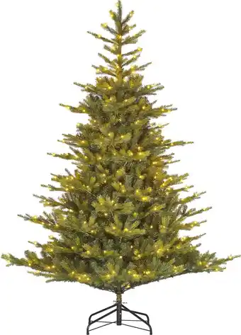 Intratuin Black Box kunstkerstboom Grand Fir met 550 lampjes warm wit D 152 H 215 cm aanbieding
