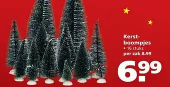 Ranzijn Kerstboompjes aanbieding