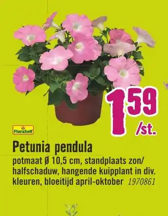 Hornbach FloraSelf Petunia pendula aanbieding