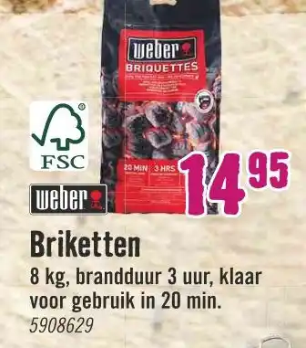 Hornbach Weber Briketten aanbieding